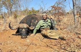 R44 Billion: The Massive Revenue from Hunting Tourism