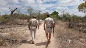 Discover how hunting tourism generates an impressive R44 billion, driving economic growth and supporting conservation efforts worldwide.