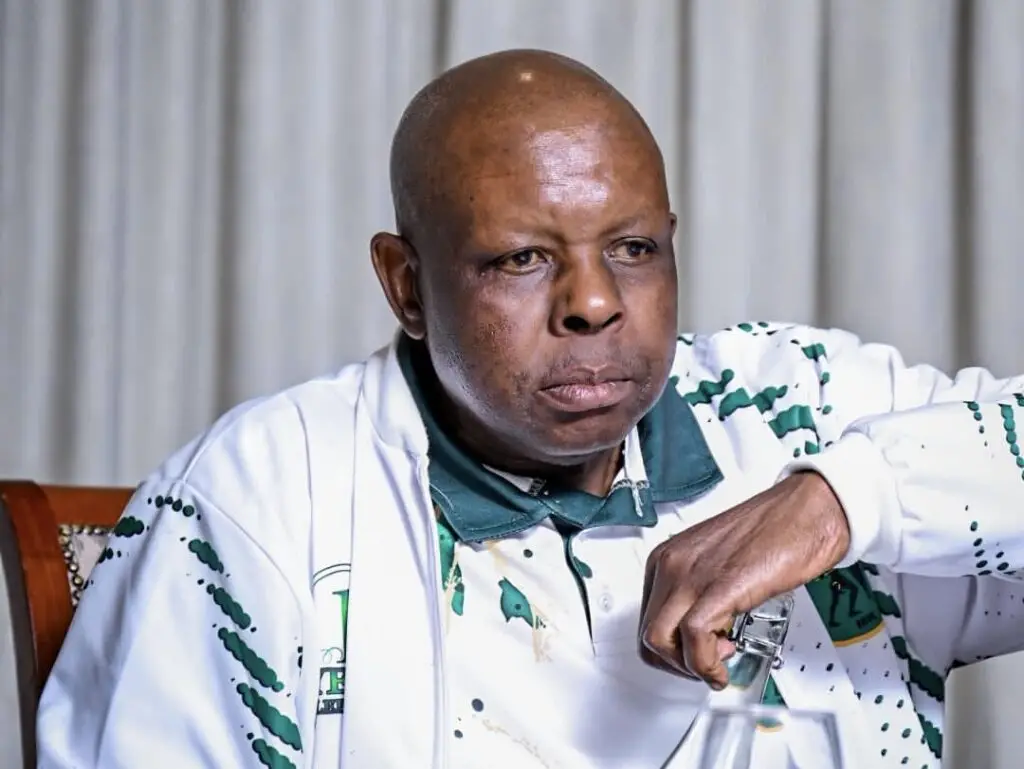 john-hlope-slams-duduzile-zuma-sambudla-and-nhlamulo-ndhlelas-conduct-in-meetings-sa-not-surprised