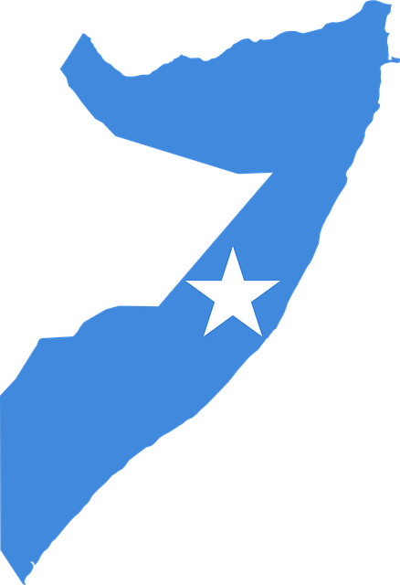 u.s supporting a united Somalia