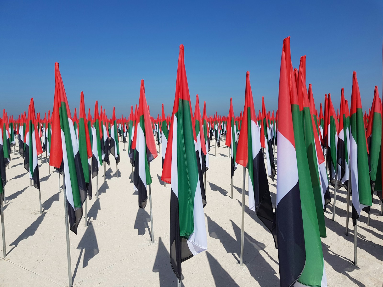 Cape Town March: 7 Powerful Solidarity Moments with Palestine