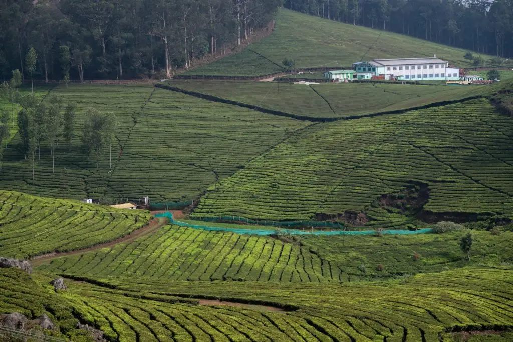 China Rwanda Agriculture diplomatic meeting highlights