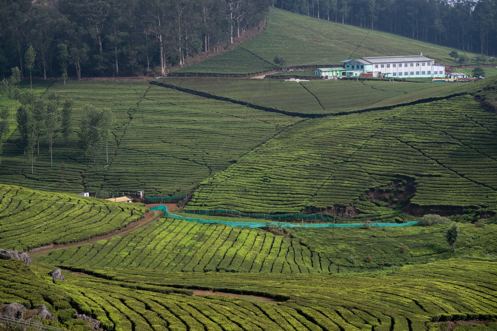 China Rwanda Agriculture diplomatic meeting highlights