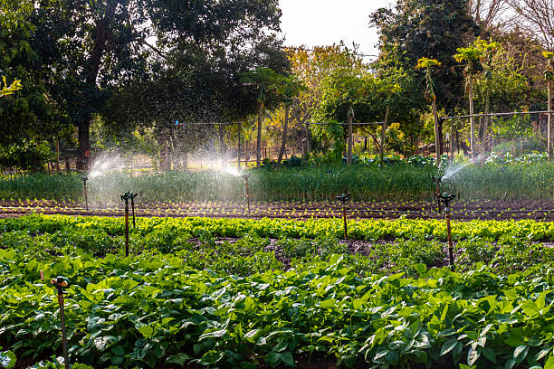 Billion Agrifood Investment