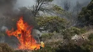 Cape Wildfires